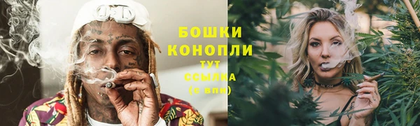 спайс Дмитров