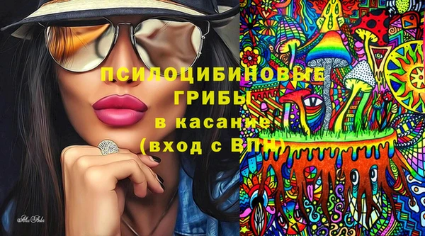МДПВ Дмитриев