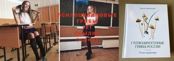 спайс Дмитровск