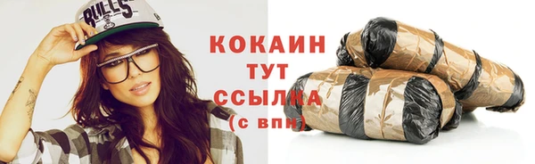 МДПВ Дмитриев