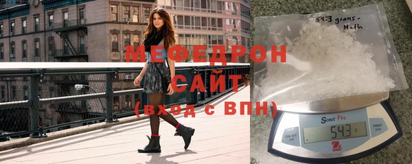 МДПВ Дмитриев