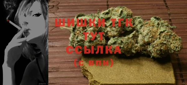 МДПВ Дмитриев