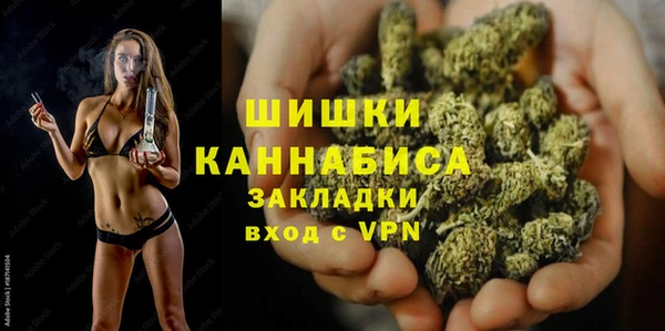МДПВ Дмитриев