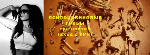 спайс Дмитровск