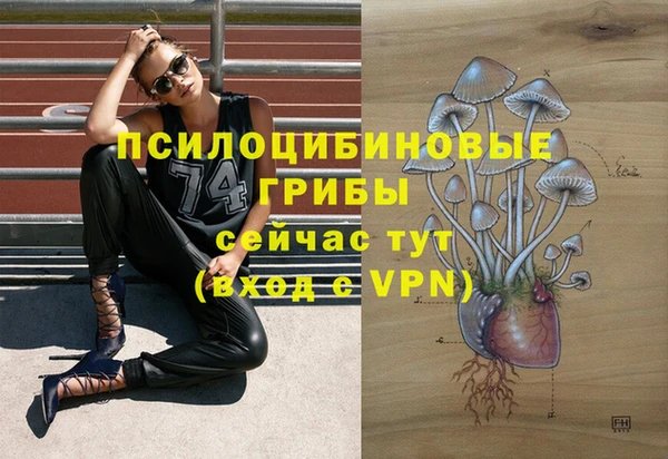 спайс Дмитров