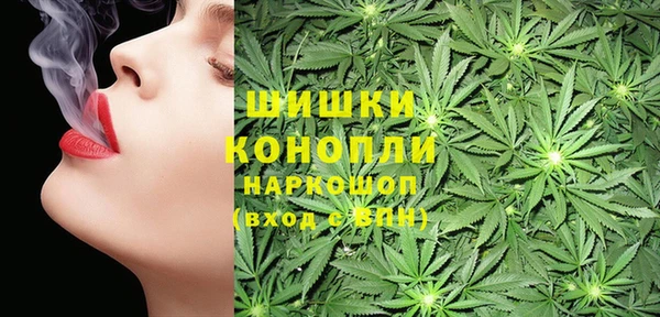 МДПВ Дмитриев