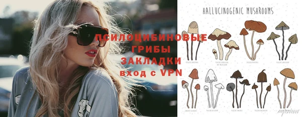 спайс Дмитровск